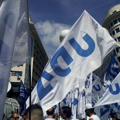 7 de marzo de 2017 - 7